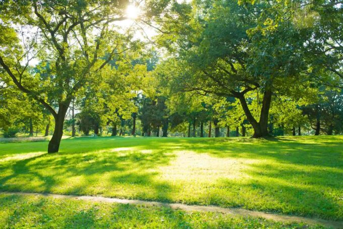 parc aretha franklin paris