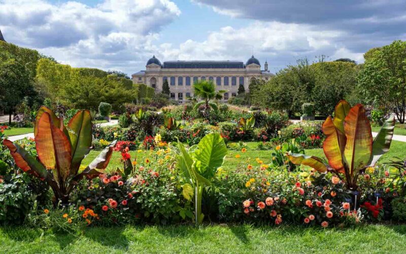 jardin plantes