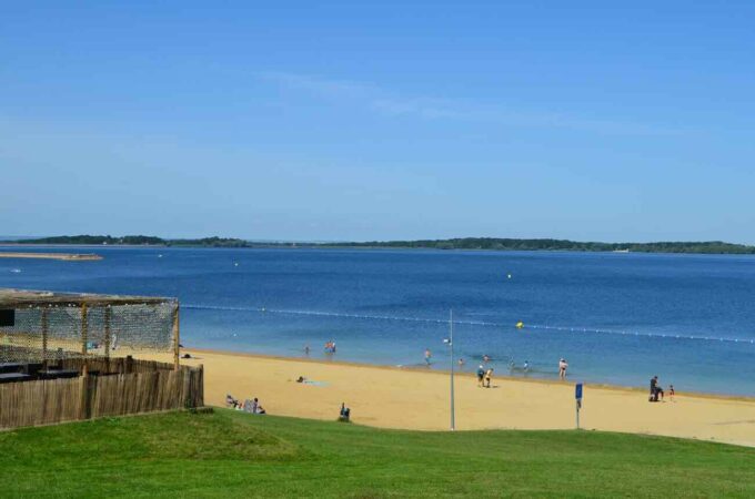 lac de la forêt d'orient (aube grand est france)