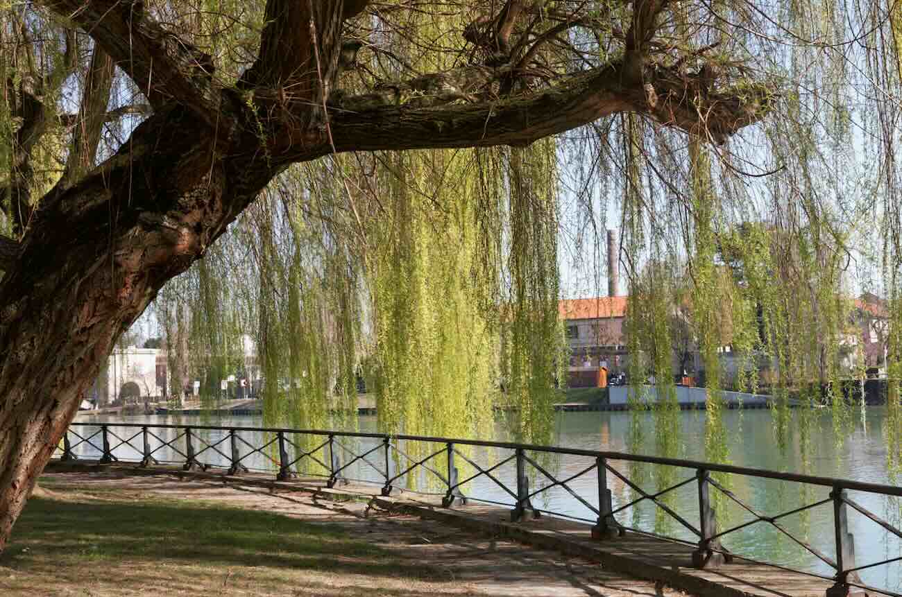 joinville le pont - ile fanac