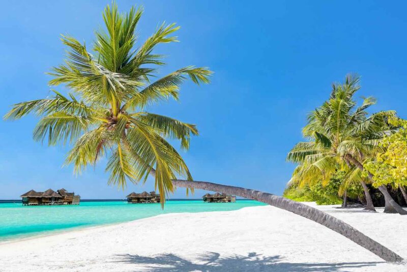 maldives